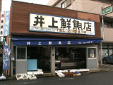 井上鮮魚店（桜鯛）