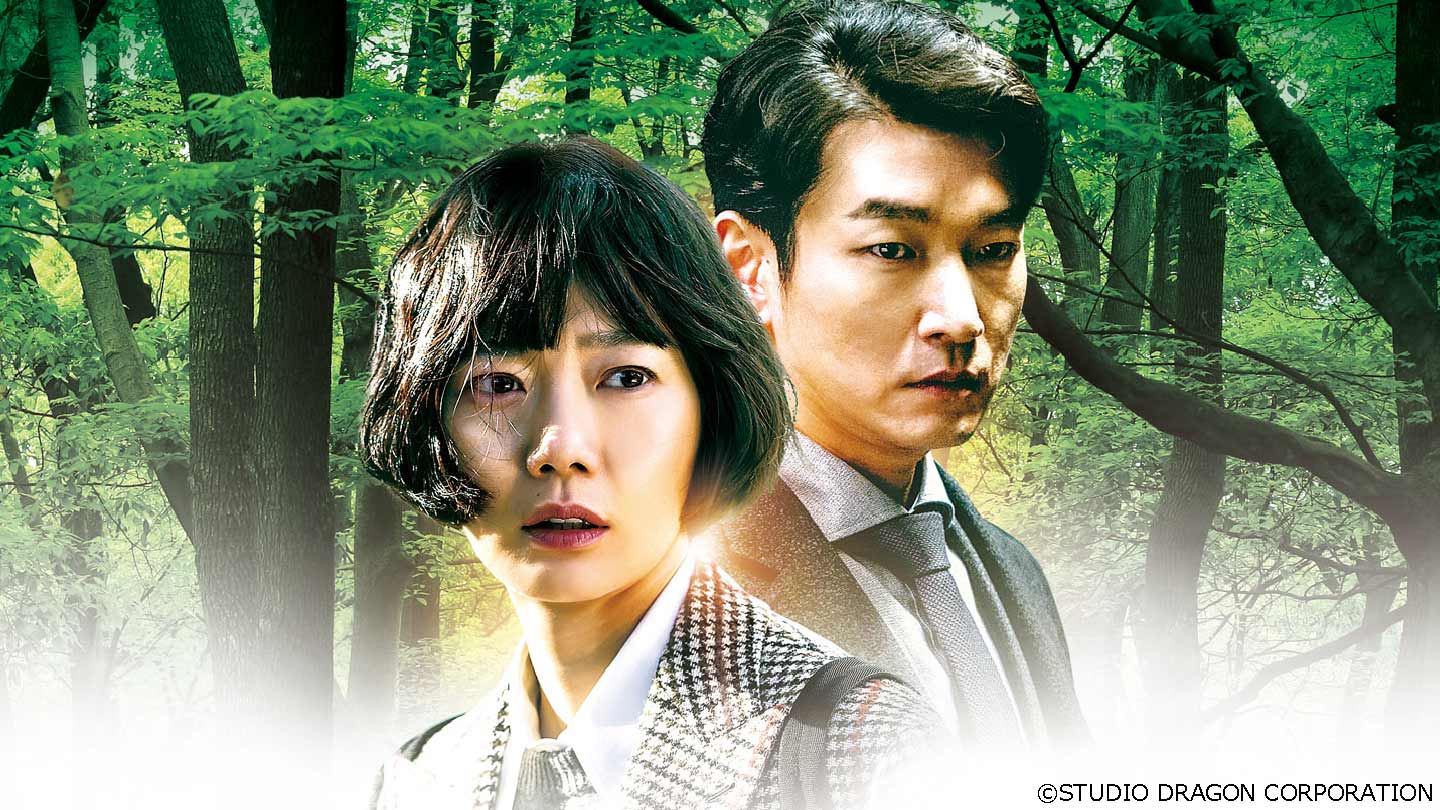 韓国ドラマ「秘密の森～深い闇の向こうに～」