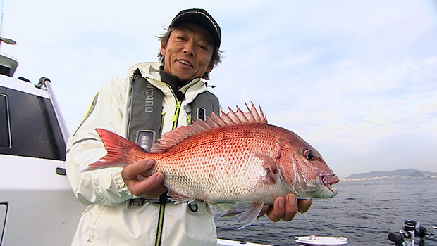 #270 冬の東京湾でコマセ釣り マダイが新春を華やかに彩る