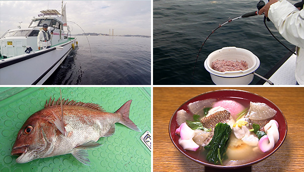 #270 冬の東京湾でコマセ釣り マダイが新春を華やかに彩る