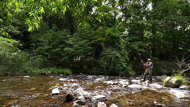 #344 山岳渓流でフライフィッシング 群馬県利根川水系のイワナ